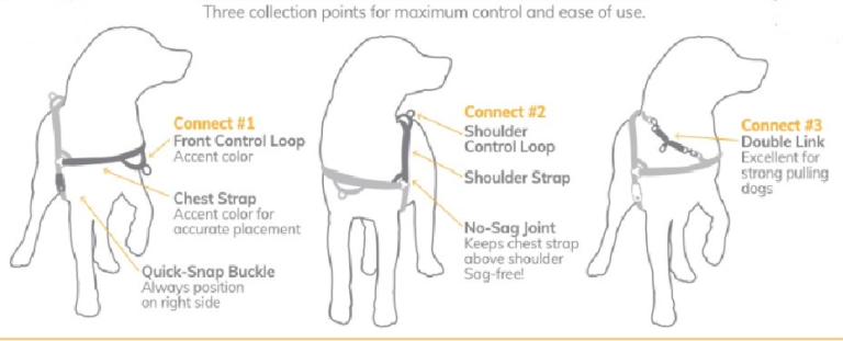 The Omni Harness