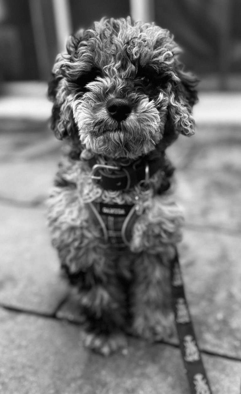 Ben
