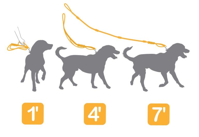 Omni Expandable Leash